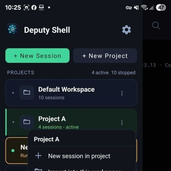 DeputyShell Screenshot 2
