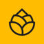 Pincone Logo