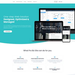 Pro Biz Site Screenshot