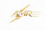 AMR Logo