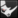 Rhino Icon