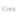 Core Salus Logo