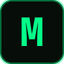 MARK Icon