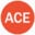 ACE POS