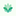 Vigor Bloom Logo