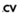 Analyzer.CV Logo