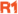 RNKD1 Logo