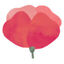 Flowerly