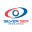 Silver Sea Analytics Logo