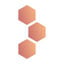 Virtual Hive