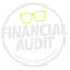 Financial Audit Icon