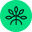 Mangrove Logo