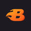 BookMatch Icon