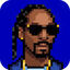 SnoopSolve Icon