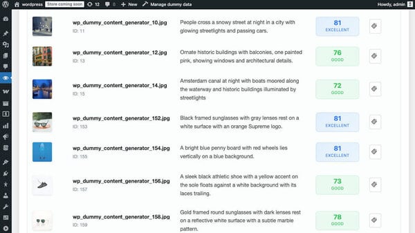Alt Audit Screenshot 8