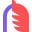 NamePepper Logo