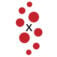 INxSQL