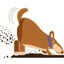 emaildigr Icon