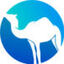 Camel Digital Icon