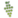 Grapevine Logo