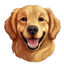 Travis Icon