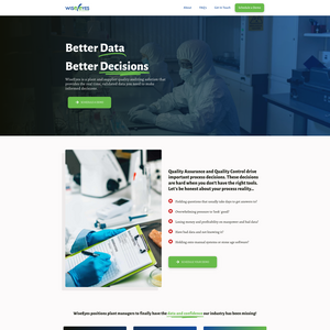 WiseEyes Screenshot