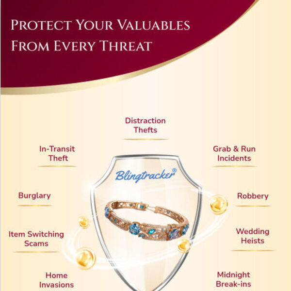 BlingTracker Solutions Screenshot 1