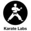 Karate Icon