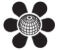 Laiceum Logo