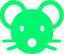 RatDrive Logo