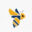 Buzzibee Icon