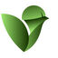 Voiact Icon