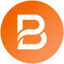 BrandOye Logo