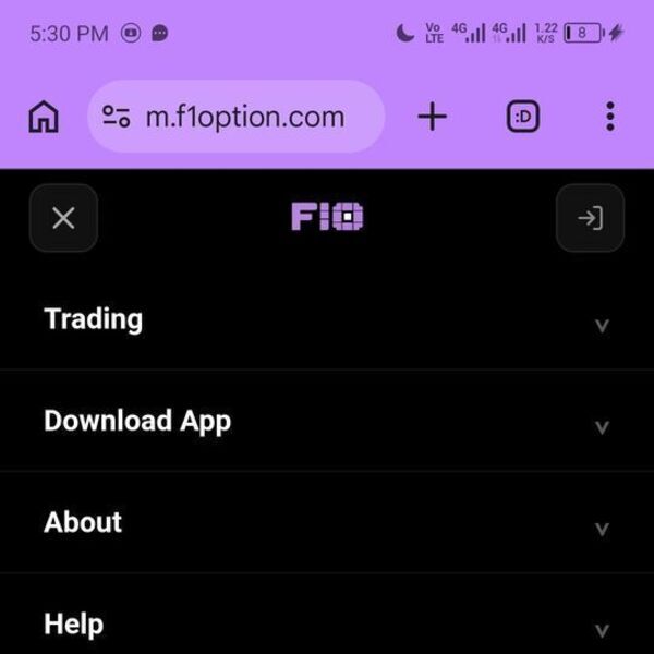f1option Screenshot 10