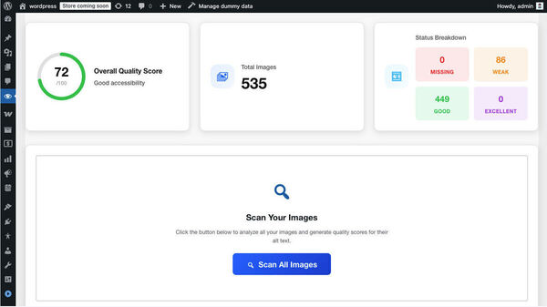 Alt Audit Screenshot 3
