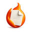Flint Icon