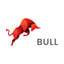 Big Bull