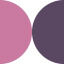 Sowiso Icon