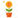 Immediate Adipex 5.0 Logo