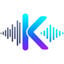 Kleervox Logo