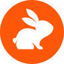 CodeRabbit Logo