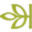 Ancestry Icon