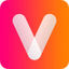 Vidgenie Logo