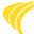 Passport Software Icon