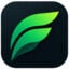 Fieliq Icon