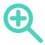 Low Vision Zoom Icon