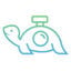 TurtlePic