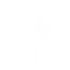 The Secret Society Logo