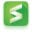 Kiwi Sizing Icon