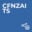 CFNZAITS Logo